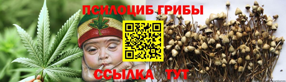 закладка  Галлюциногенные грибы Cubensis  Вход с VPN  Жуковский 
