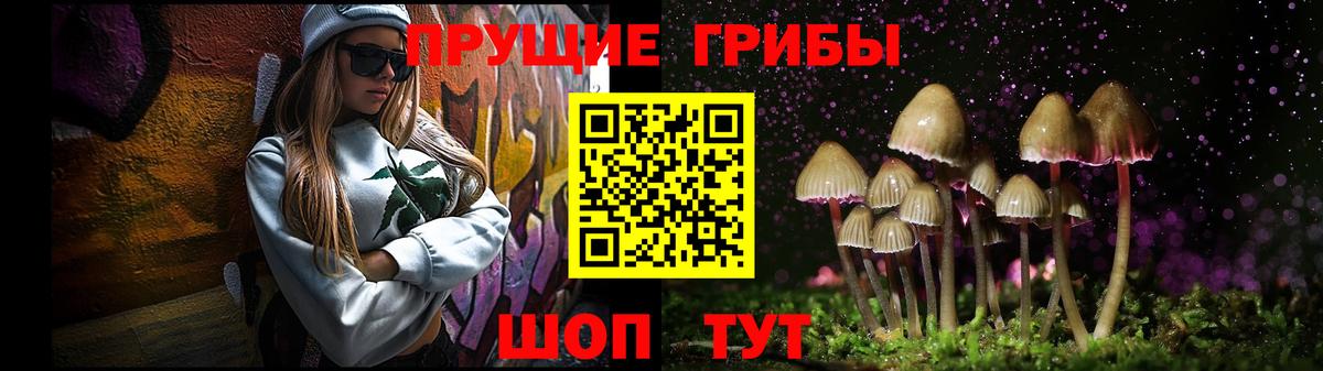 Галлюциногенные грибы Psilocybine cubensis Жуковский